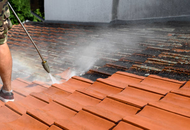 Best Pressure Washing Driveway  in Gosnell, AR