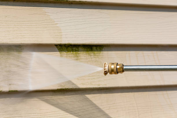 Best Roof Pressure Washing  in Gosnell, AR